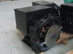 2 Pole Brushless Alternator 17.5kVA/14kw Double Bearings AC Generator 3600rpm