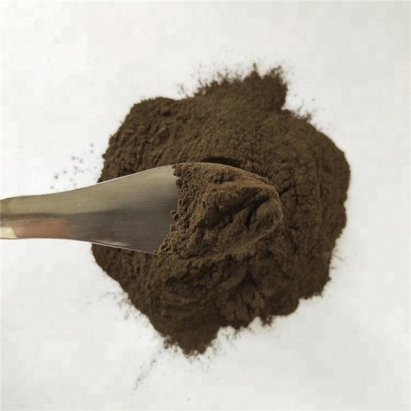 Free Sample High quality 0.30% Hypericum Perforatum Extract Powder Hypericins