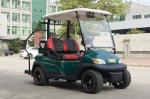 Onward 2 Passenger Electric Golf Cart Trojan Battery CE Approved