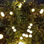 Black Waterproof Solar Outdoor Solar Firefly LED Lights Waterproof for Garden