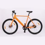 City Adult Electric Bicycle 36v 700C Wheel 250w Motor Cycle with Hidden Battery