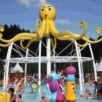 Colorful Octopus Water Playground Equipment 6100*6100*5000 For Family Recreation