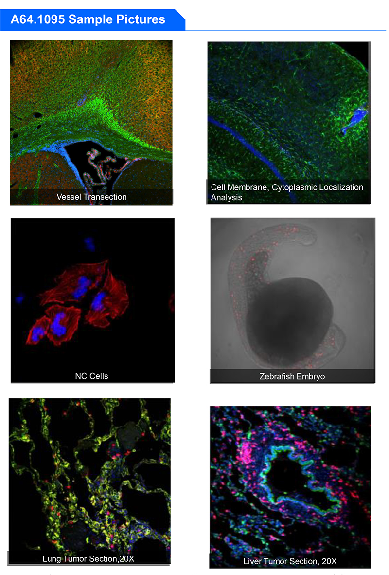 A64.1095 Opto Edu Laser Confocal Microscope Full Auto Motorized
