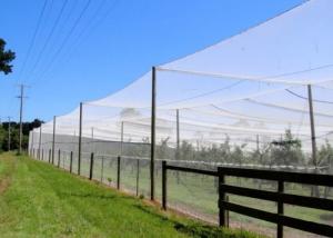 Wholesale Agricultural Insect Mesh Protection Netting , Insect Fly Screen Mesh from china suppliers