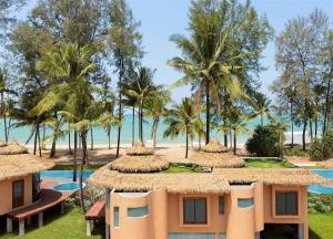 Wholesale Environmentally Friendly Noya Thatch Tile 05 30-50 Year Lifespan for Your Decoration from china suppliers