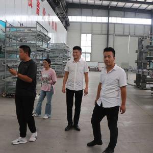 Wholesale commercial High Tech Poultry Cage , Automatic Large Bird Cage For Quail from china suppliers