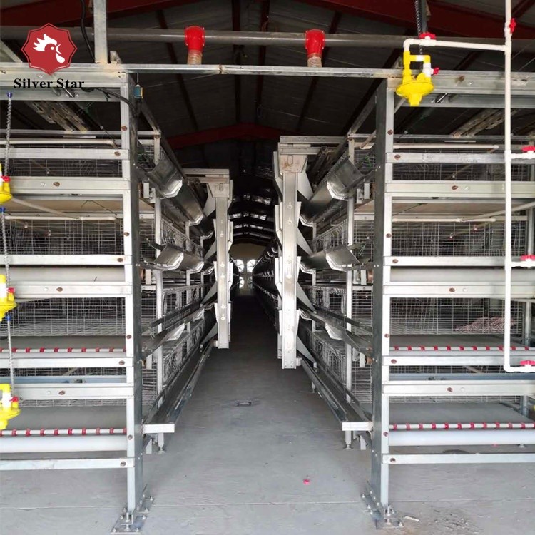 30000 Birds Hot Dip Galvanized Steel H Type Battery Cages For Broiler Chicken