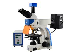 Wholesale Professional Trinocular Upright Fluorescence Microscope 100W Mercury Lamp from china suppliers