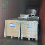 25 X 36 Inches GC2 C2S Glossy Paper 250gsm 300gsm 350gsm For Offset Printing