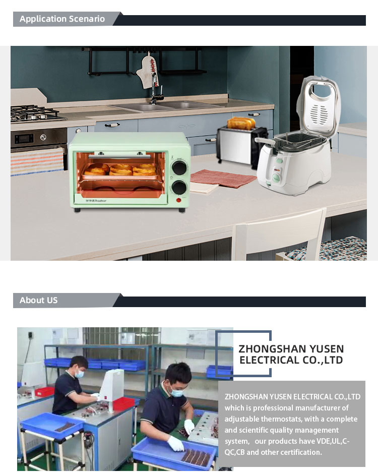 VDE 250V / 12A Electric Stove Thermostat with 5C% Tolerance and Temperature Control