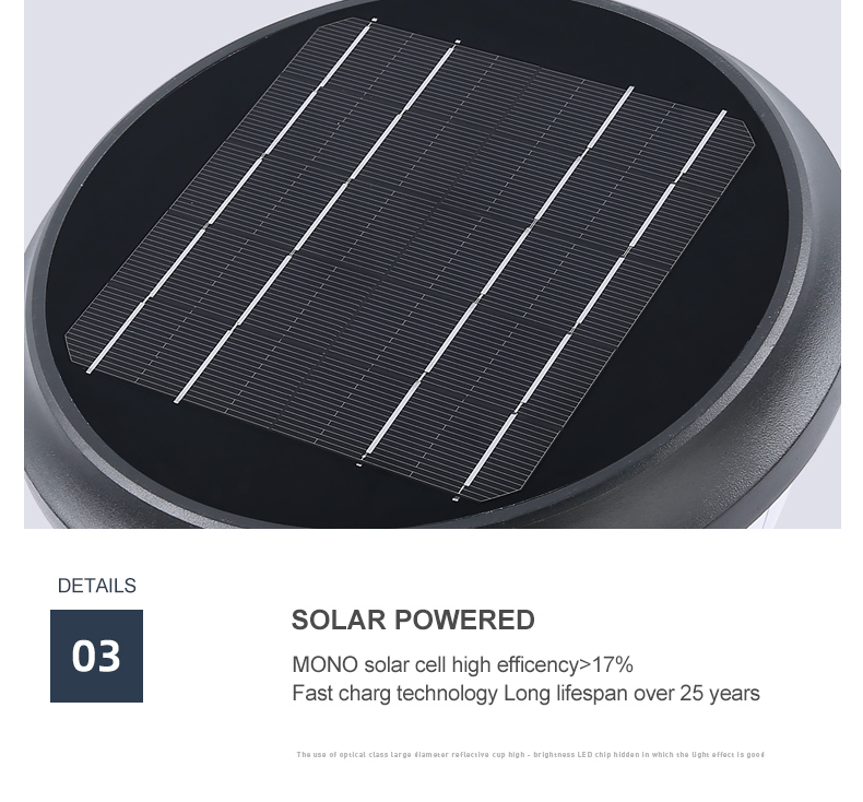 100lm Die Cast Aluminum Outdoor Garden Solar Light IP65 Waterproof
