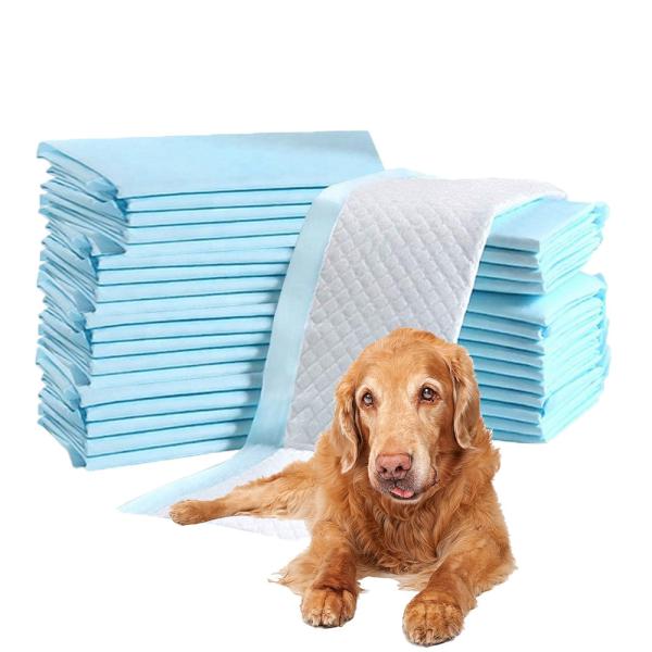 Item Type Puppy Pet Urine Absorbent Pad Competitive Prices for Customer