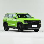 Haval X-Dog Petrol Gasoline Economical SUV Used 175km/H