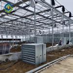 Vegetable Fruits 0.4KN/M2 9.6m Multi Span Greenhouse