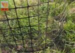 HDPE Garden Climbing Plant Support Netting , Garden Mesh Netting , Garden