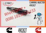Construction Machinery Parts QSK23 Truck Engine Accessories 4902827 4077076