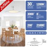 Eye Protection 42" LED Ceiling Fan with Hidden Blades and Metal Acrylic Material