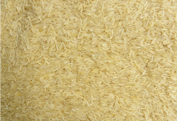 Sorting Machine CCD Camera 4Chutes 252Channels Color Sorter For Rice/Beans