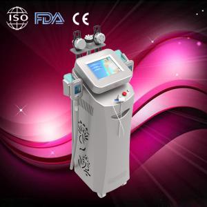 Wholesale To be thiner!Hotest cryolipolysis body shaping and cool sculpting machine for beauty spa from china suppliers