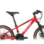 20inch Carbon Fiber Mountain Bike SHIMANO EF500 21 Speed With Disc Brake