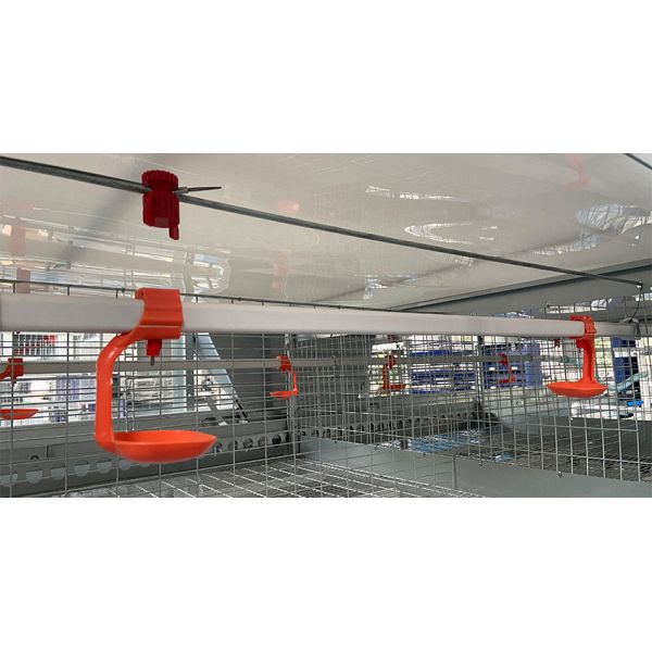 Top Quality H Frame Brooding Chicken Cage Pullet Cage With EU standard