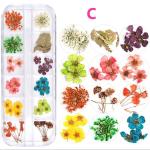 OEM ODM Advantage Customized Manufacture Dry Flower for Arrangements