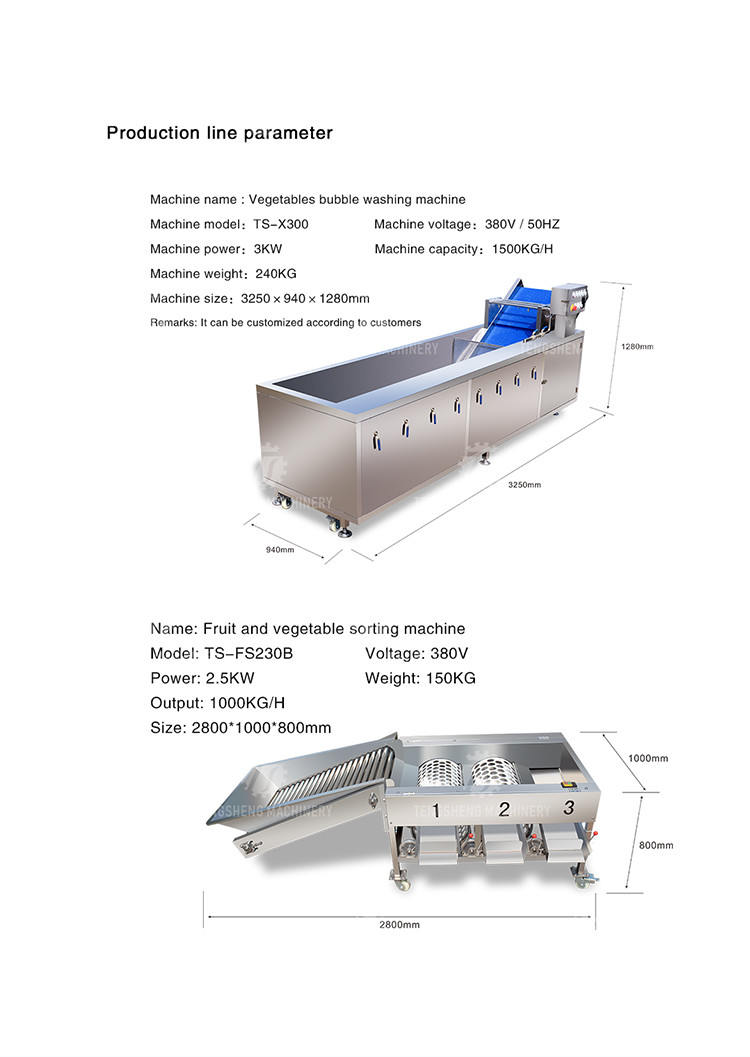 3KW 50HZ Fruit And Vegetable Processing Line Washing Sorting Machine