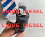 BOSCH Fuel Injector 0445110274 0445110275 0 445 110 274 0 445 110 275 for
