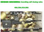 Depth self closing valve 65 CB/T3778-99, bronze sounding self closing valve DN65