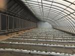 Small Energy Saving Passive Solar Greenhouse with Hot Dip Galvanized Steel