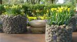 Corrosion Resistance Galvanized Welded Wire Mesh Roll for Bird Cage Length 5-50m