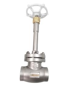 Wholesale Gas Stainless Cryogenic -196C Socket Weld Globe Valve PN40 SS304 SS316 from china suppliers