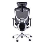 All Mesh Aluminum Base Class 4 Gas Lift Luxury Ergonomic Executive Chair​