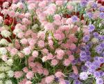 Babysbreath Decorative Artificial Flowers Wedding Home Party Decoration