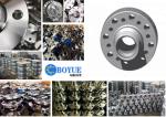 WN SW BL SO Duplex Stainless WN Steel Flange ASTM A182 F51 F53 F55 F44 F904L