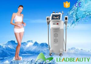 Wholesale 2016 fat freezing body machine LB-C5 / cryolipolysis slimming machine on sale from china suppliers