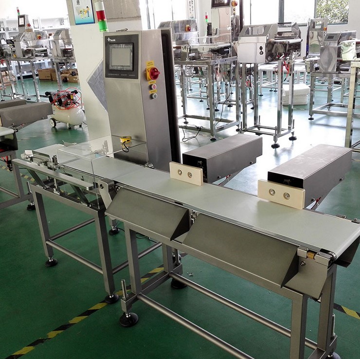 0.2g Scale Interval In Line Checkweigher With Rejector