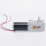 Faradyi Hot Sale 12V 24V High Torque Dual Shaft Customized Shaft Long Lifespan