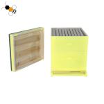 Two Layer Yellow Painted Langstroth Beehive For Bee Farm