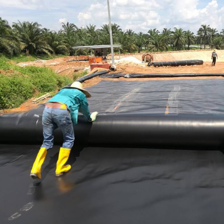 LLDPE Pond Liner Sheet for Reservoir Project in Malaysia 1m-8m Width HDPE Material