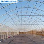 Wind Resistance Plastic Film Greenhouse with 90% Light Transmittance