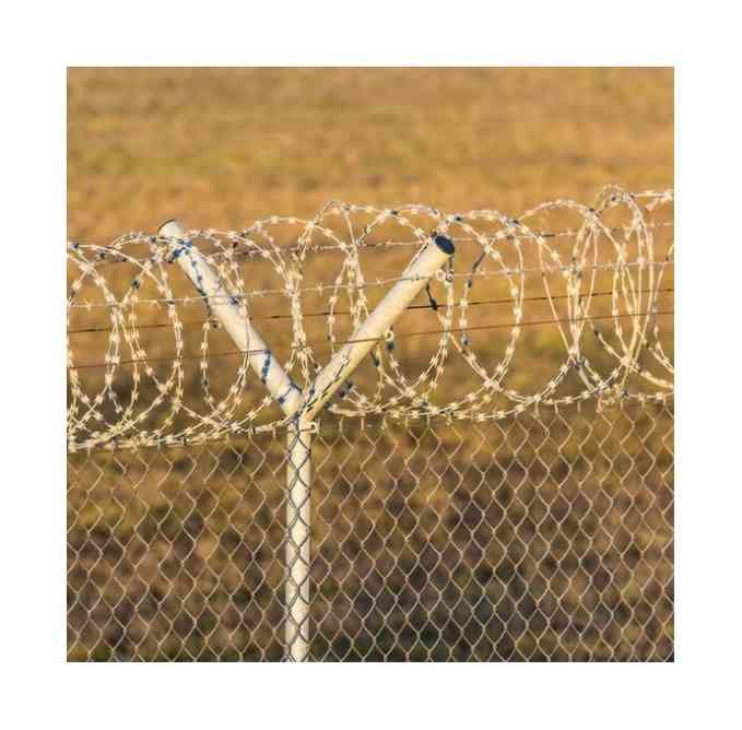 500 M Barbed Galvanised Razor Wire Anti Climb Bird Protective