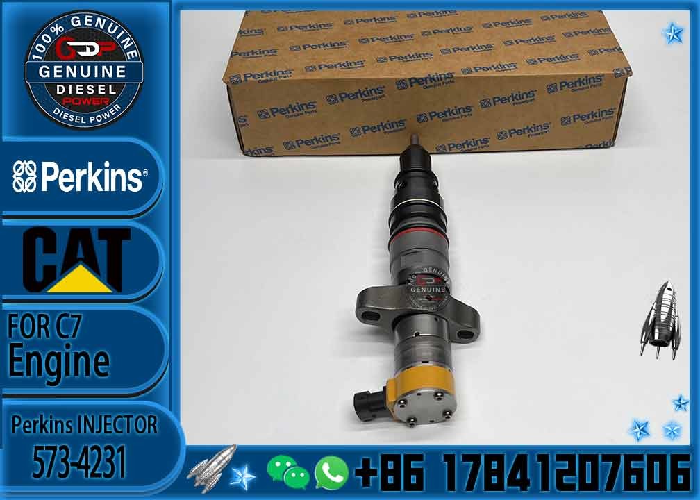 Diesel Engine Parts Common Rail Fuel Injector 573-4231 for CAT C9 330D 340D 336D Excavator CNDIP Factory price