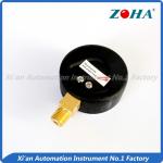 steam pressure gauge