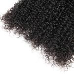 100 Unprocessed Virgin Curly Hair Bundles Natural Hair Line No Shedding