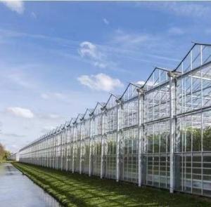 Wholesale 20GP 40GP 40HC Modern Agriculture Sunlight Greenhouse For Vegetables Planting from china suppliers