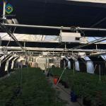 0.12 Cover Medical Planting Agricultural Greenhouse