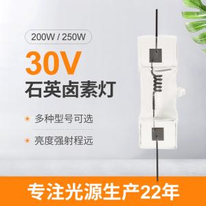 Wholesale Tungsten Double Ended Halogen Lamp 200w 250W 30V from china suppliers
