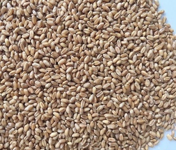 1912mm 2.4kw Digital Rice Separation Wheat Color Sorter