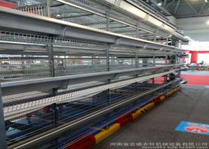 Wholesale Professional Poultry Egg Production Equipment For Layer Chicken Farm from china suppliers